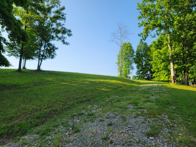 690 Preservation Dr Unit 34, South Pittsburg, TN 37380 - photo 8