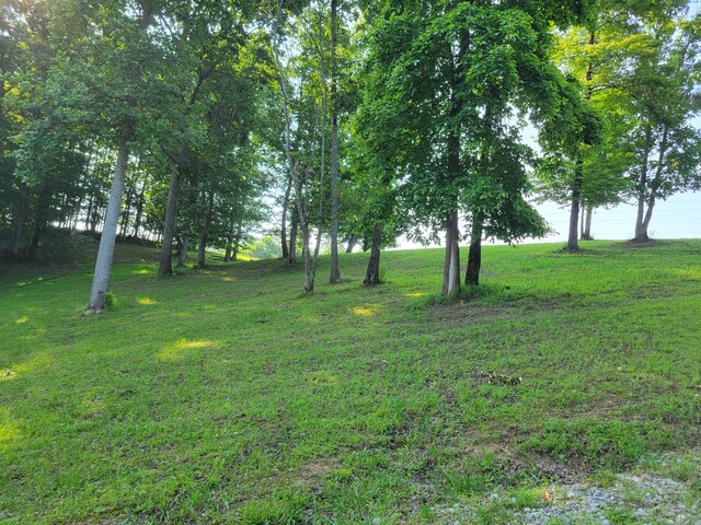 690 Preservation Dr Unit 34, South Pittsburg, TN 37380 - photo 9