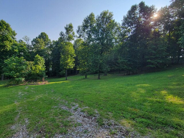 690 Preservation Dr Unit 34, South Pittsburg, TN 37380 - photo 10