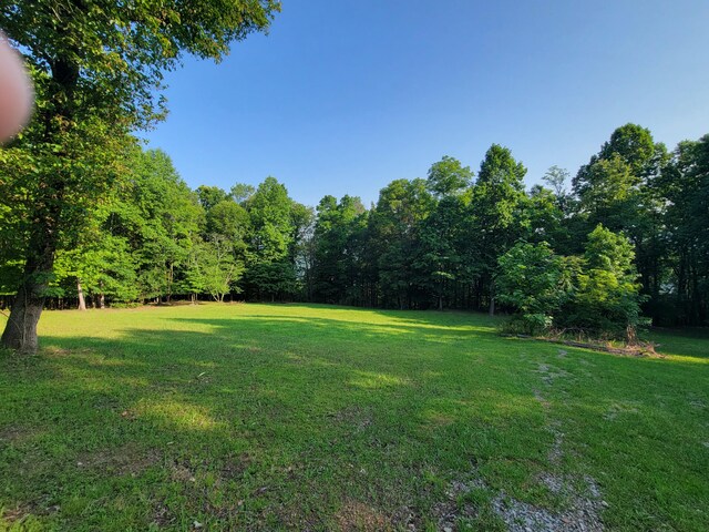 690 Preservation Dr Unit 34, South Pittsburg, TN 37380 - photo 11