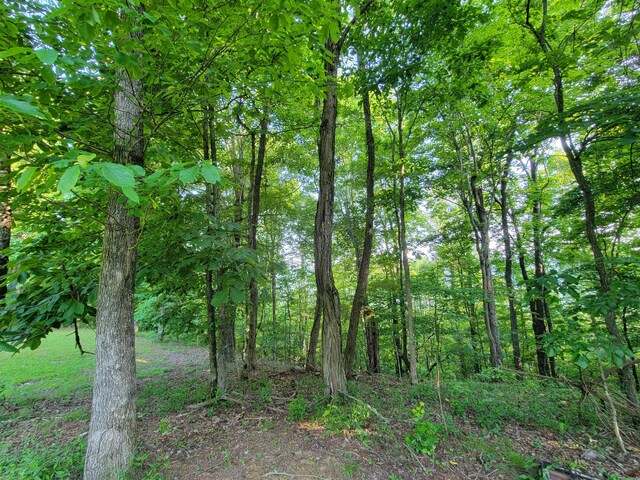 690 Preservation Dr Unit 34, South Pittsburg, TN 37380 - photo 12