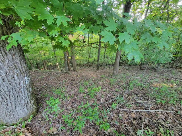 690 Preservation Dr Unit 34, South Pittsburg, TN 37380 - photo 14