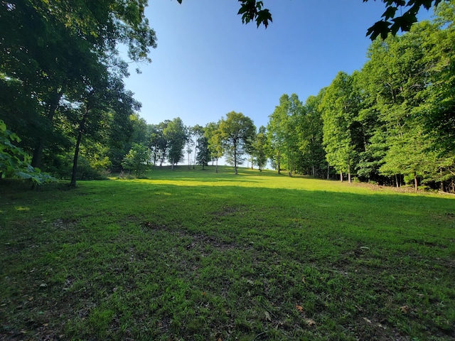 690 Preservation Dr Unit 34, South Pittsburg, TN 37380 - photo 15