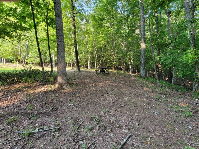 690 Preservation Dr Unit 34, South Pittsburg, TN 37380 - photo 16