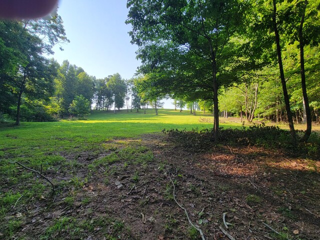 690 Preservation Dr Unit 34, South Pittsburg, TN 37380 - photo 17