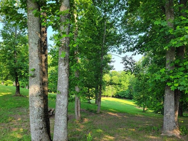 690 Preservation Dr Unit 34, South Pittsburg, TN 37380 - photo 20