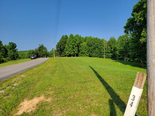 690 Preservation Dr Unit 34, South Pittsburg, TN 37380 - photo 22