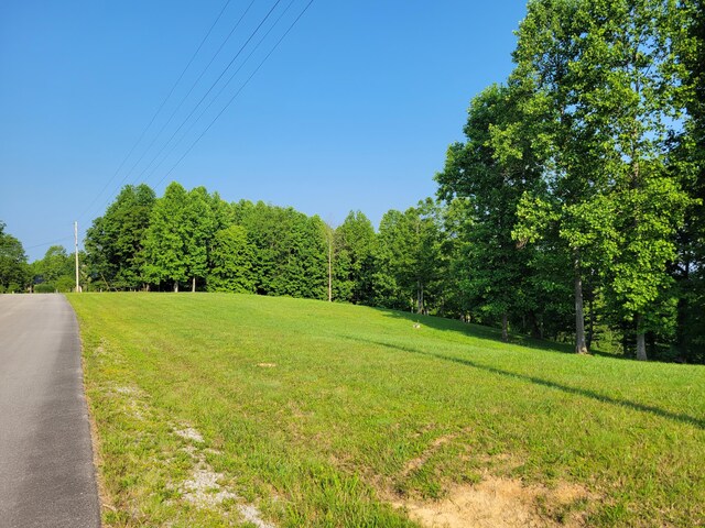 690 Preservation Dr Unit 34, South Pittsburg, TN 37380 - photo 23