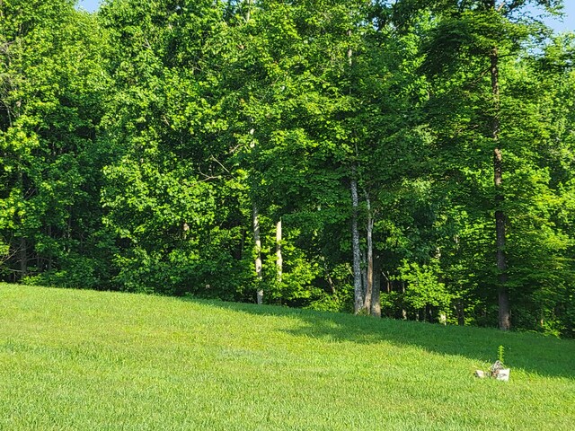 690 Preservation Dr Unit 34, South Pittsburg, TN 37380 - photo 24