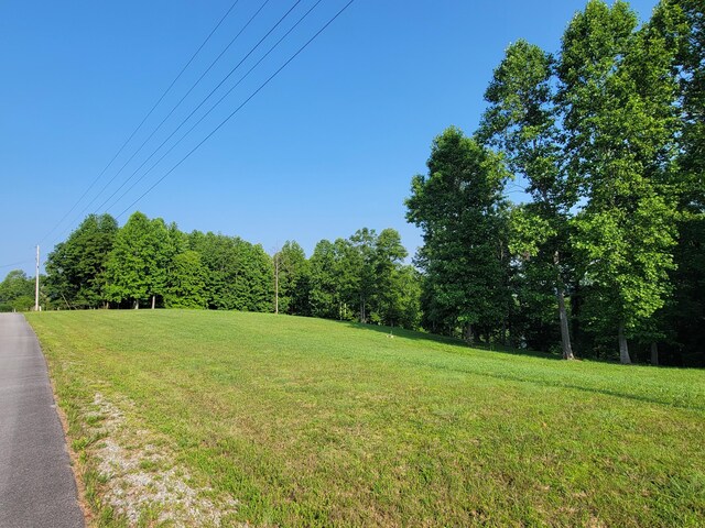 690 Preservation Dr Unit 34, South Pittsburg, TN 37380 - photo 25
