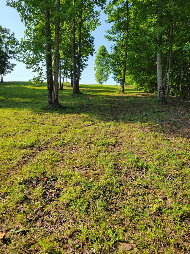 690 Preservation Dr Unit 34, South Pittsburg, TN 37380 - photo 19