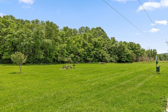 900 Mountain Creek Rd Unit P234, Chattanooga, TN 37405 - view of grassy yard