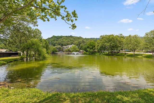 900 Mountain Creek Rd Unit P234, Chattanooga, TN 37405 - water view