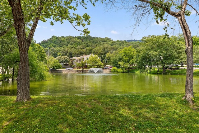 900 Mountain Creek Rd Unit P234, Chattanooga, TN 37405 - water view with a heavily wooded area