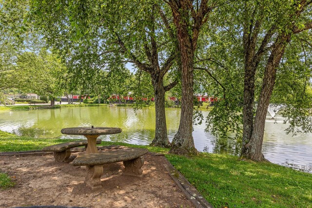 900 Mountain Creek Rd Unit P234, Chattanooga, TN 37405 - water view