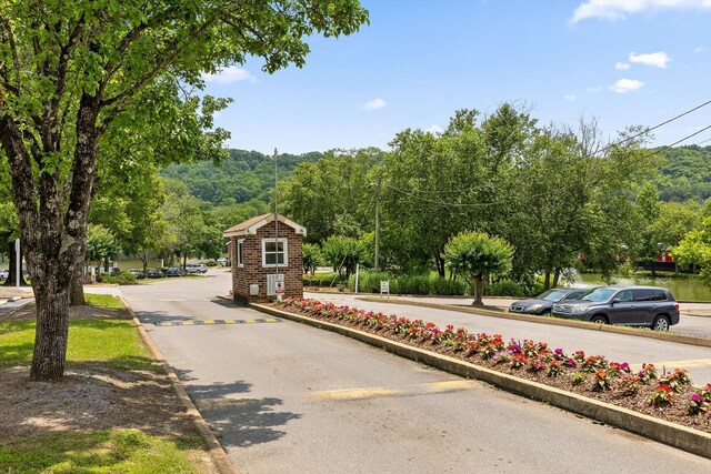 900 Mountain Creek Rd Unit P234, Chattanooga, TN 37405 - view of asphalt road featuring curbs and street lights