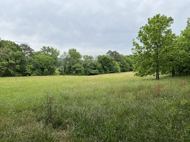 333 Hooper Rd, Ringgold, GA 30736 - photo 19