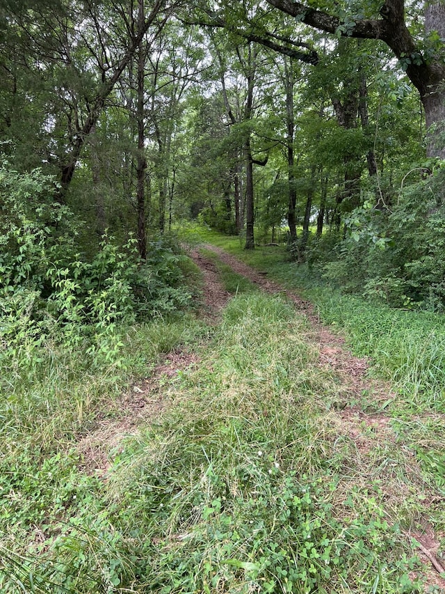 333 Hooper Rd, Ringgold, GA 30736 - photo 21