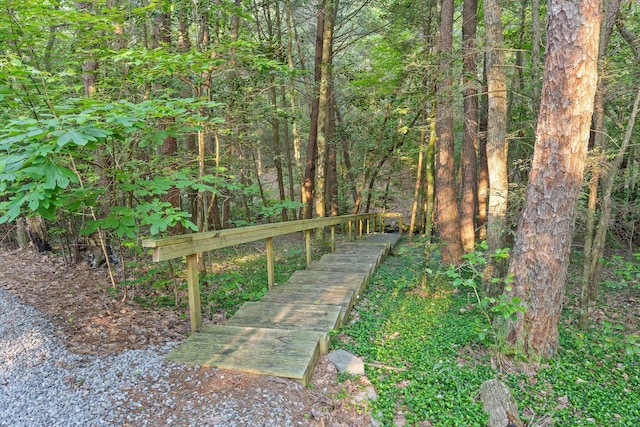 109 Windridge Ln S, Dunlap, TN 37327 - photo 53