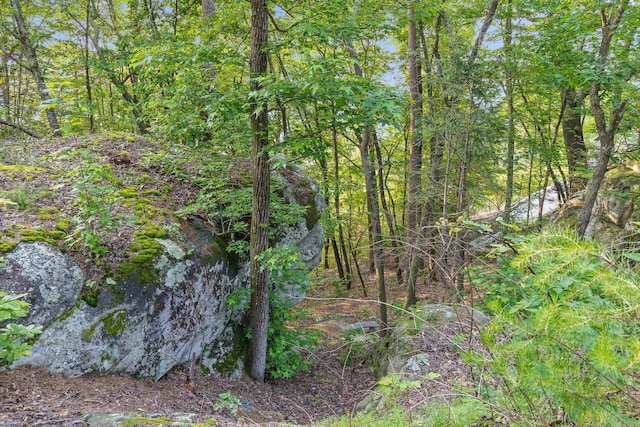 109 Windridge Ln S, Dunlap, TN 37327 - photo 60