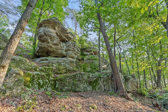 109 Windridge Ln S, Dunlap, TN 37327 - photo 4