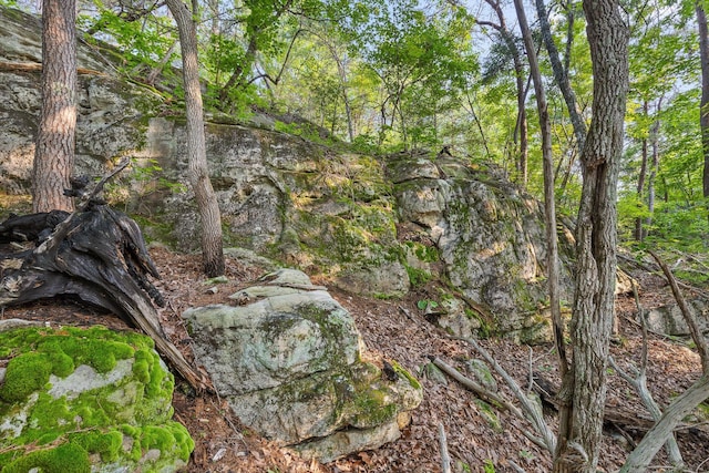 109 Windridge Ln S, Dunlap, TN 37327 - photo 61