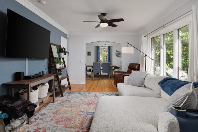 3606 Gleason Dr, Chattanooga, TN 37412 - living area featuring light wood-style flooring, ceiling fan, crown molding, and arched walkways