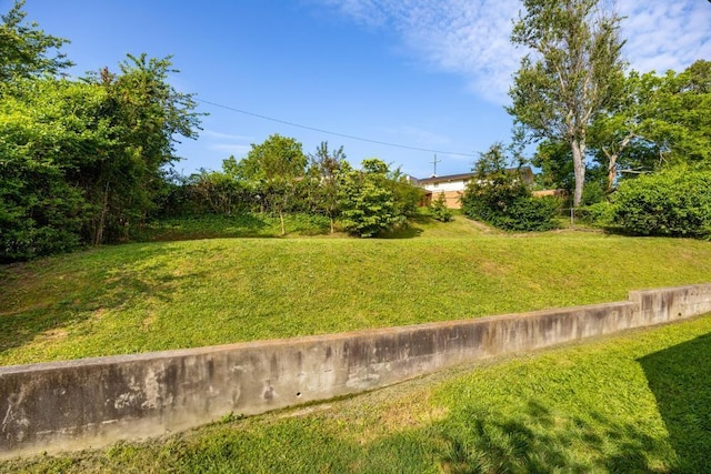 3606 Gleason Dr, Chattanooga, TN 37412 - view of green lawn