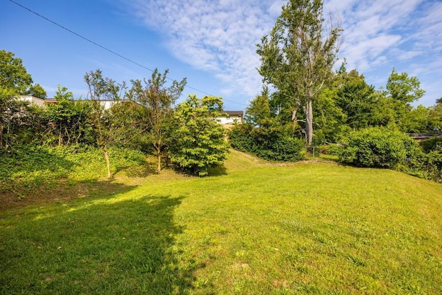 3606 Gleason Dr, Chattanooga, TN 37412 - view of green lawn