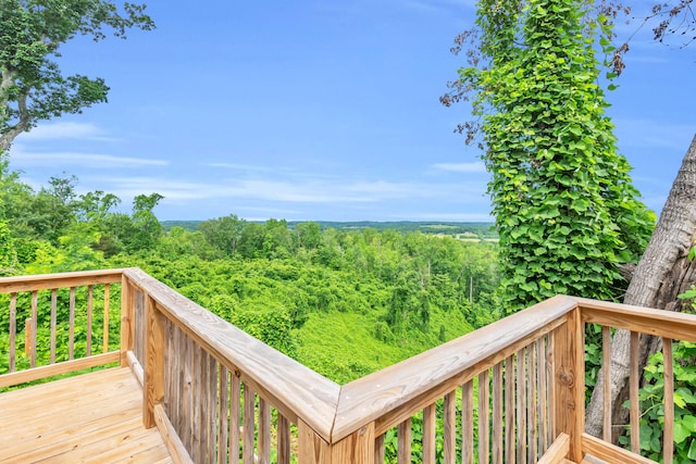 246 County Rd 655, Athens, TN 37303 - photo 29