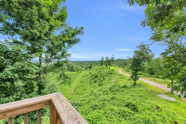 246 County Rd 655, Athens, TN 37303 - photo 39