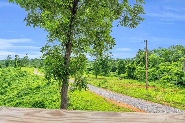 246 County Rd 655, Athens, TN 37303 - photo 40