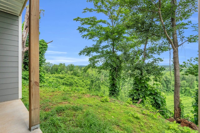246 County Rd 655, Athens, TN 37303 - photo 41