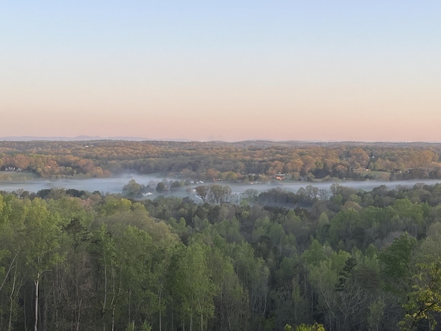 246 County Rd 655, Athens, TN 37303 - photo 51