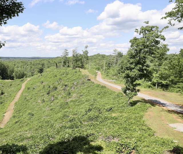 246 County Rd 655, Athens, TN 37303 - photo 54