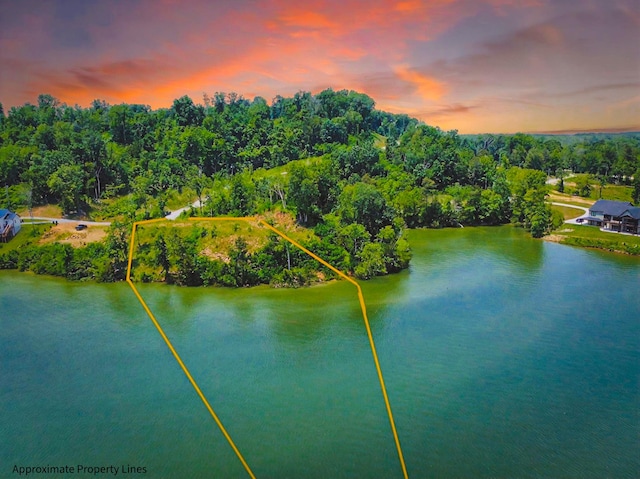 0 Big Cove Dr Unit 110, Dandridge, TN 37725