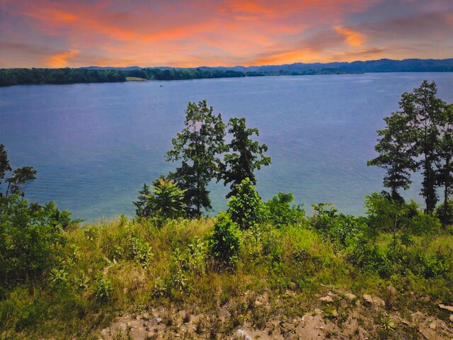 0 Big Cove Dr Unit 110, Dandridge, TN 37725