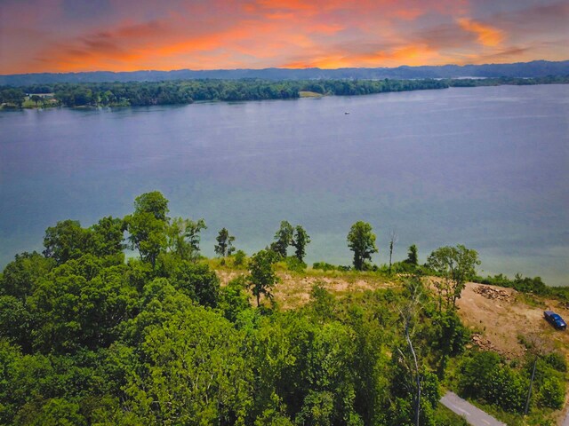 0 Big Cove Dr Unit 110, Dandridge, TN 37725
