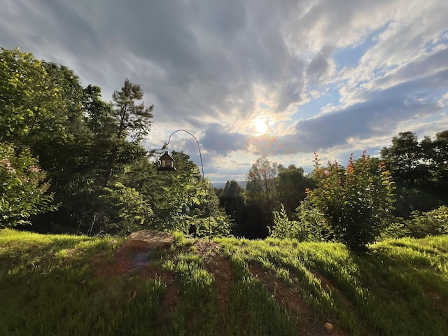 690 Ditch Gap Rd, Whitwell, TN 37397 - view of nature
