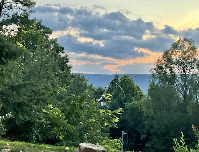 690 Ditch Gap Rd, Whitwell, TN 37397 - view of mountain background with a forest