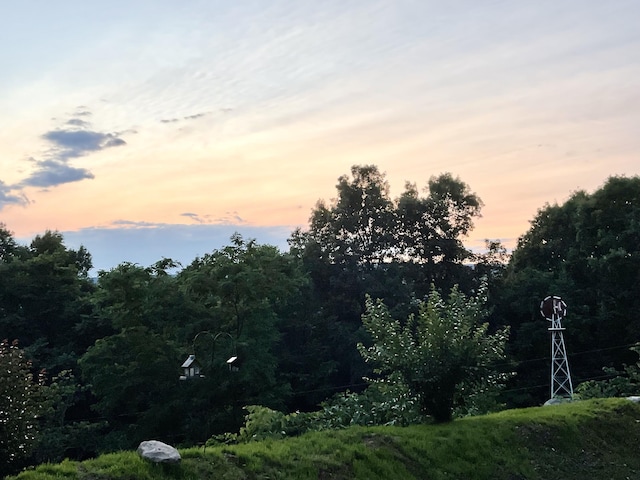 690 Ditch Gap Rd, Whitwell, TN 37397 - view of yard at dusk