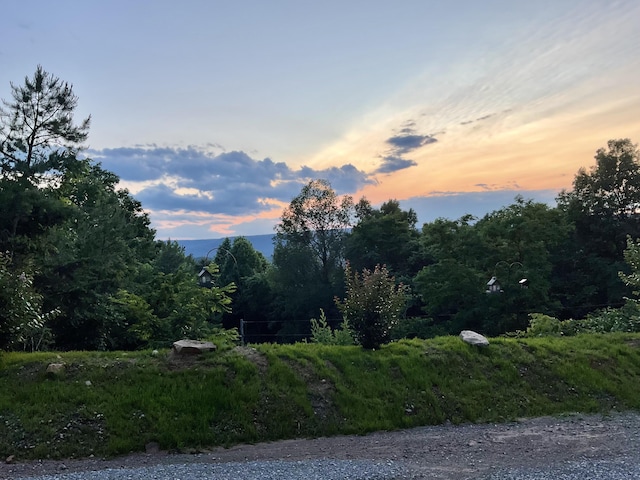 690 Ditch Gap Rd, Whitwell, TN 37397 - mountain view featuring a forest