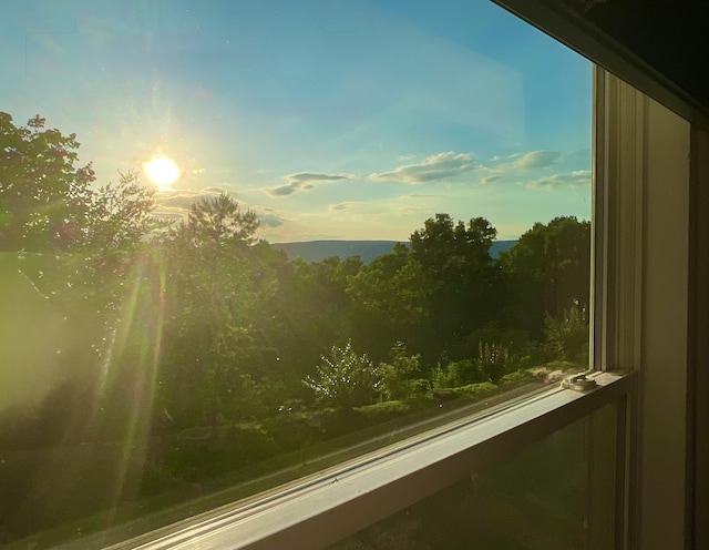 690 Ditch Gap Rd, Whitwell, TN 37397 - view of mountain background