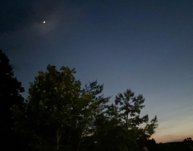 690 Ditch Gap Rd, Whitwell, TN 37397 - water view