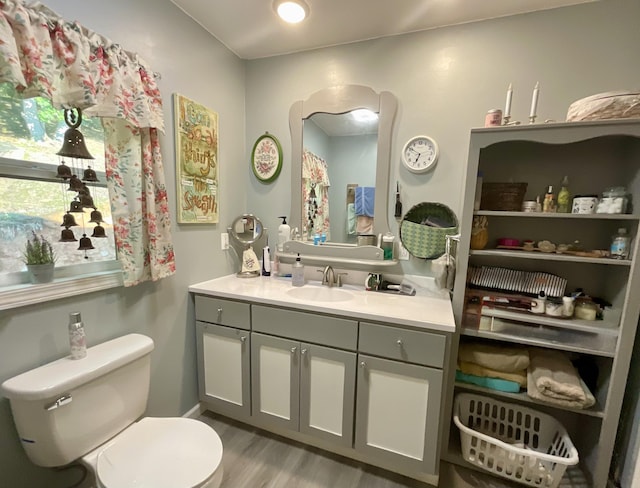 690 Ditch Gap Rd, Whitwell, TN 37397 - bathroom with vanity, toilet, and wood finished floors