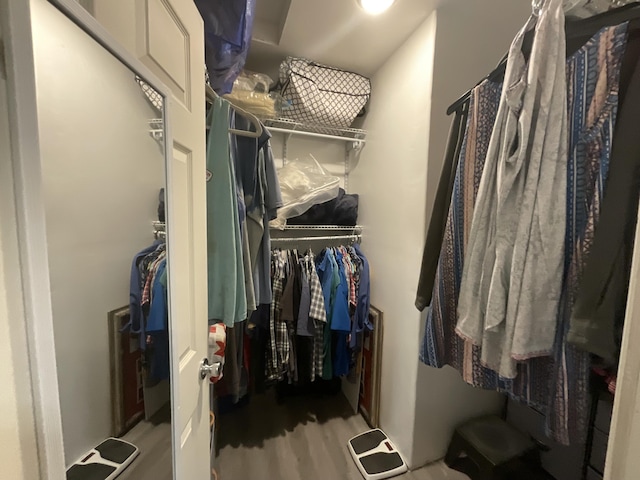 690 Ditch Gap Rd, Whitwell, TN 37397 - walk in closet with wood finished floors