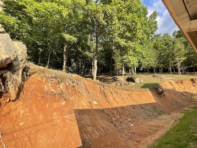 690 Ditch Gap Rd, Whitwell, TN 37397 - view of yard