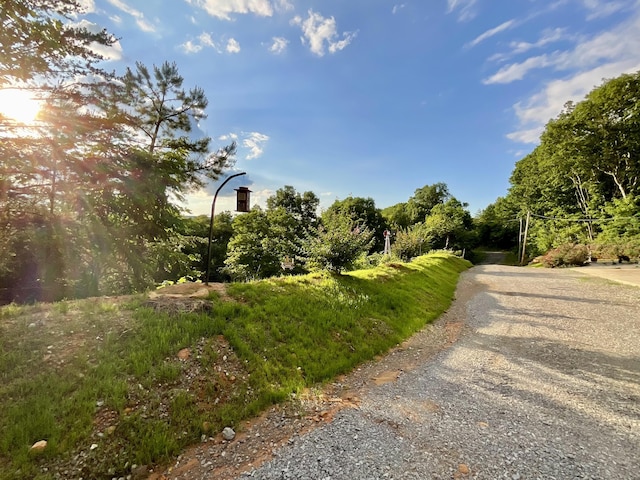 690 Ditch Gap Rd, Whitwell, TN 37397 - view of road