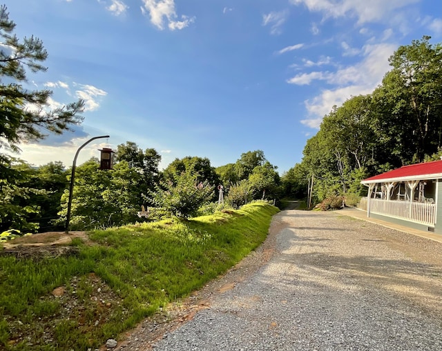 690 Ditch Gap Rd, Whitwell, TN 37397 - view of dirt / gravel road