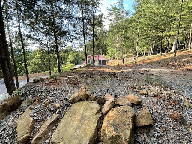 690 Ditch Gap Rd, Whitwell, TN 37397 - view of yard